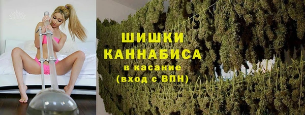 гашик Бежецк