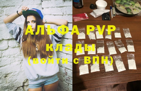 СК Покачи